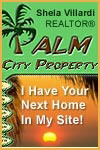 Palm City Property Banner