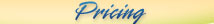 Web Site Prices