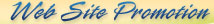 Web Site Promotion