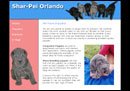 Shar Pei Puppies