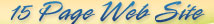 15 Page Web Site Special